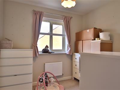 Picture 19